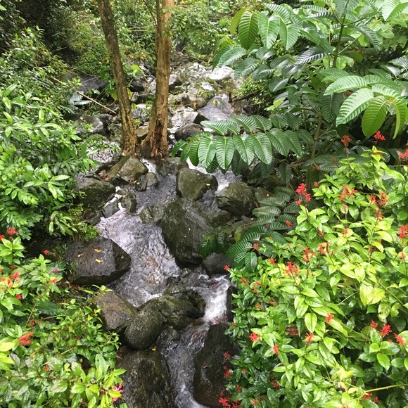 Meet your Posher, Vi - Picture 1 of 1